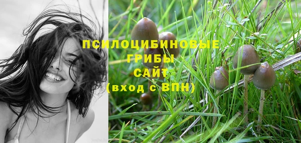амф Карталы