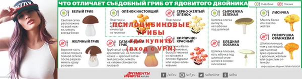 соль ск Каменка