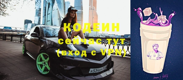 шишки Карпинск