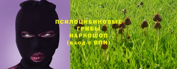 шишки Карпинск