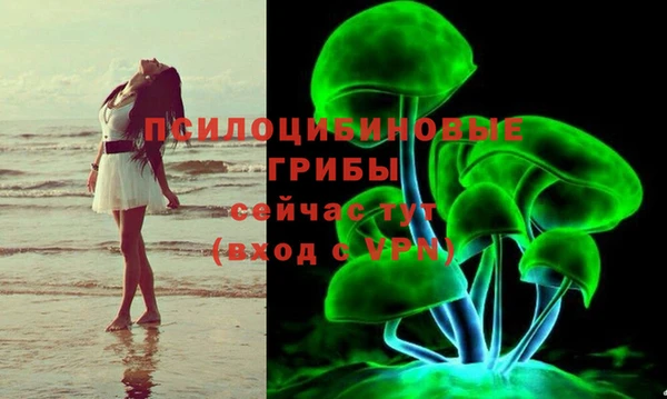 мдпв Каменск-Шахтинский