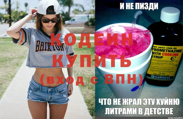 шишки Карпинск