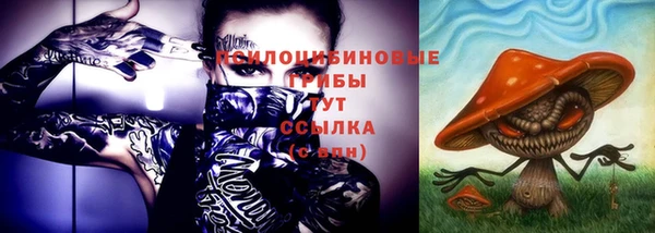 мдпв Каменск-Шахтинский